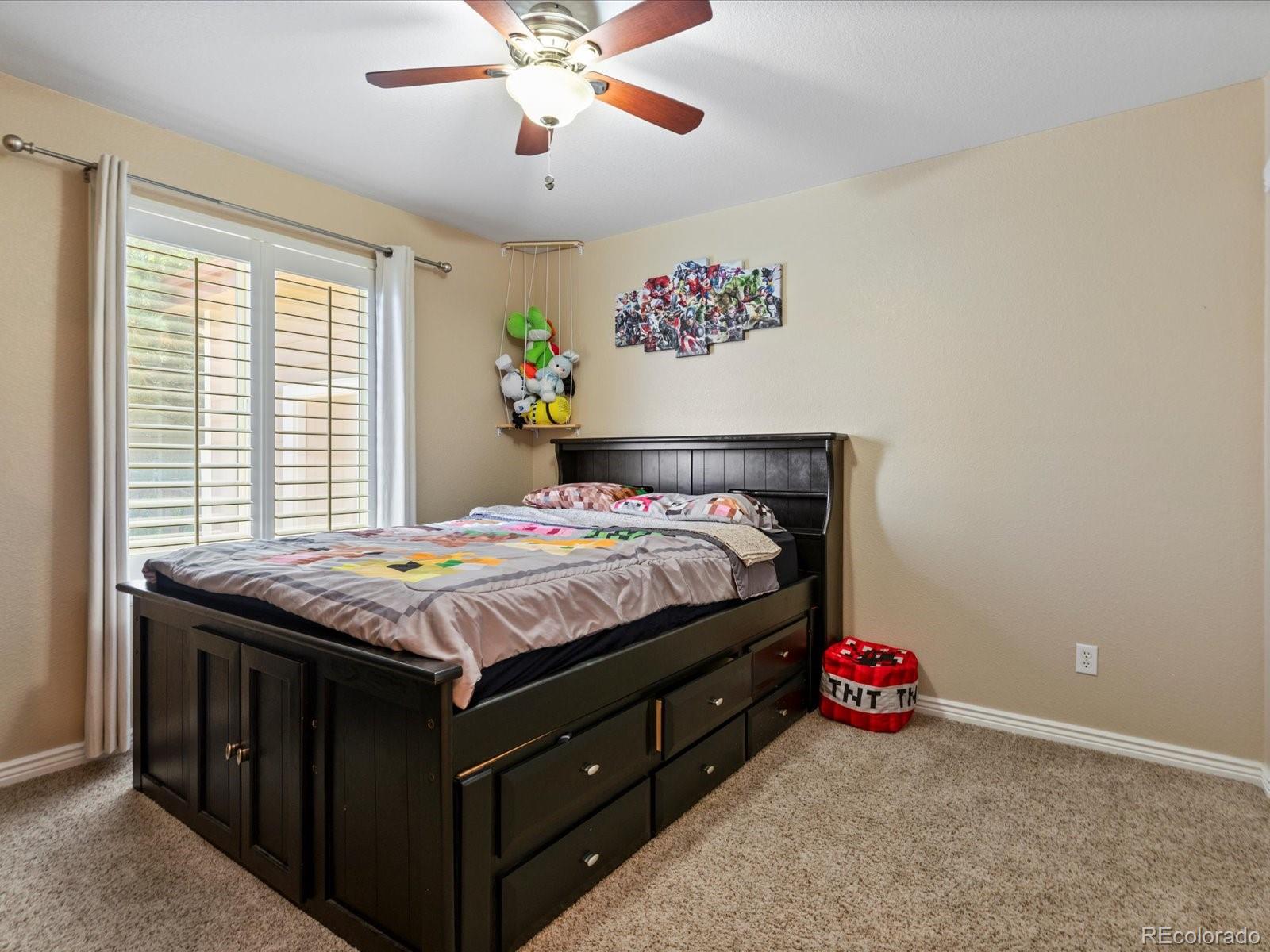 MLS Image #21 for 885  sage sparrow circle,highlands ranch, Colorado
