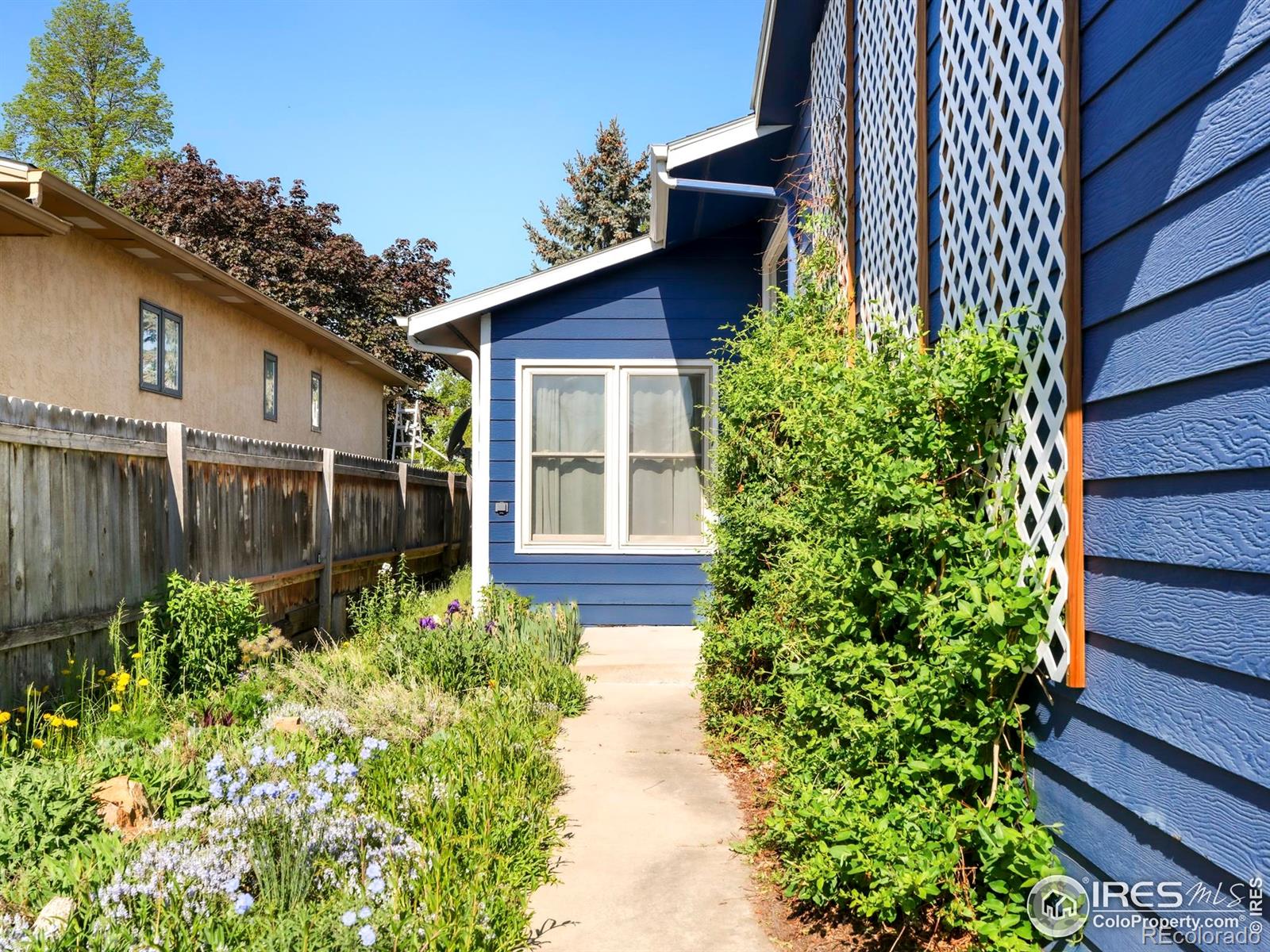 MLS Image #1 for 821  hayden court,longmont, Colorado