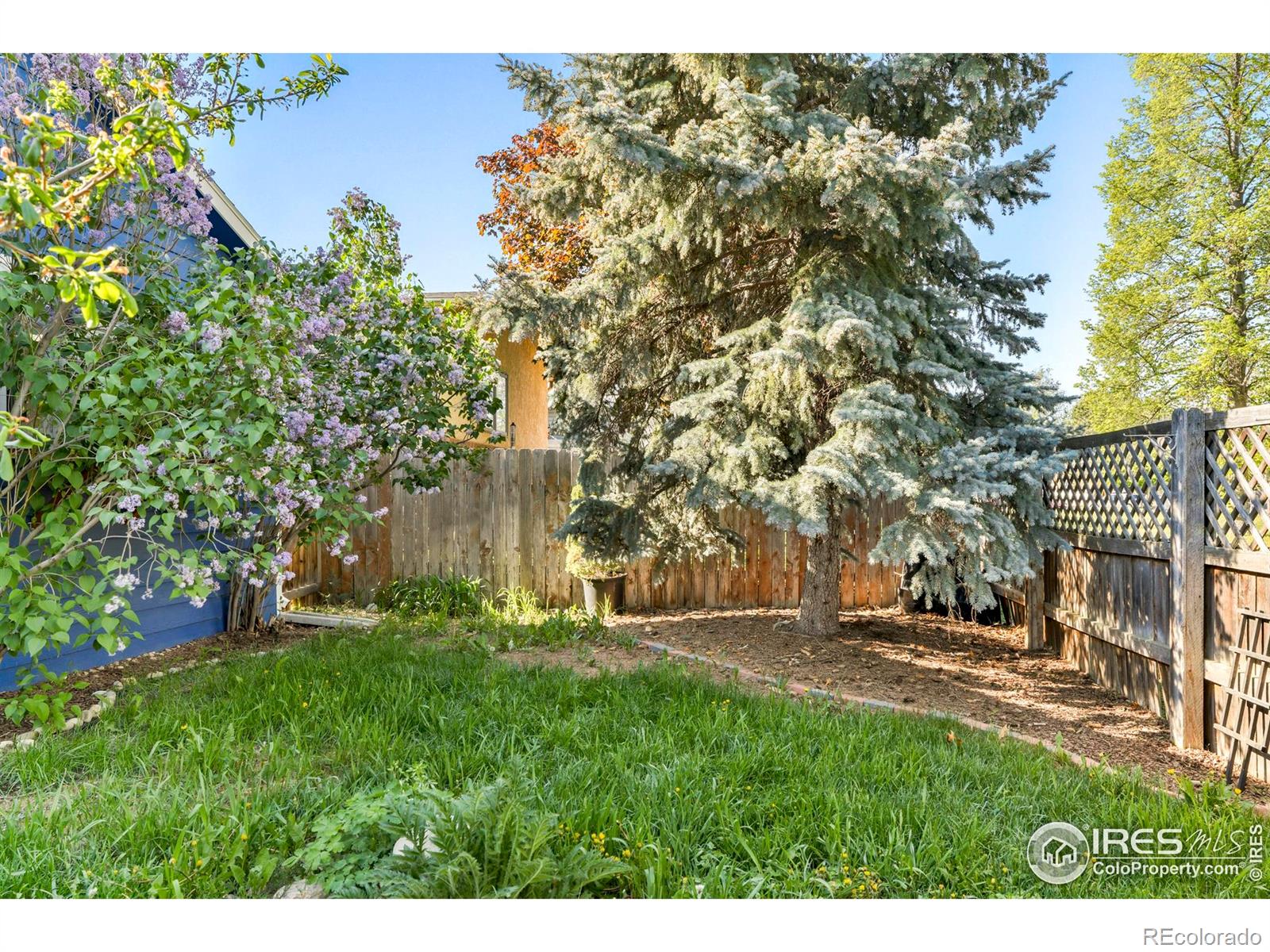 MLS Image #22 for 821  hayden court,longmont, Colorado