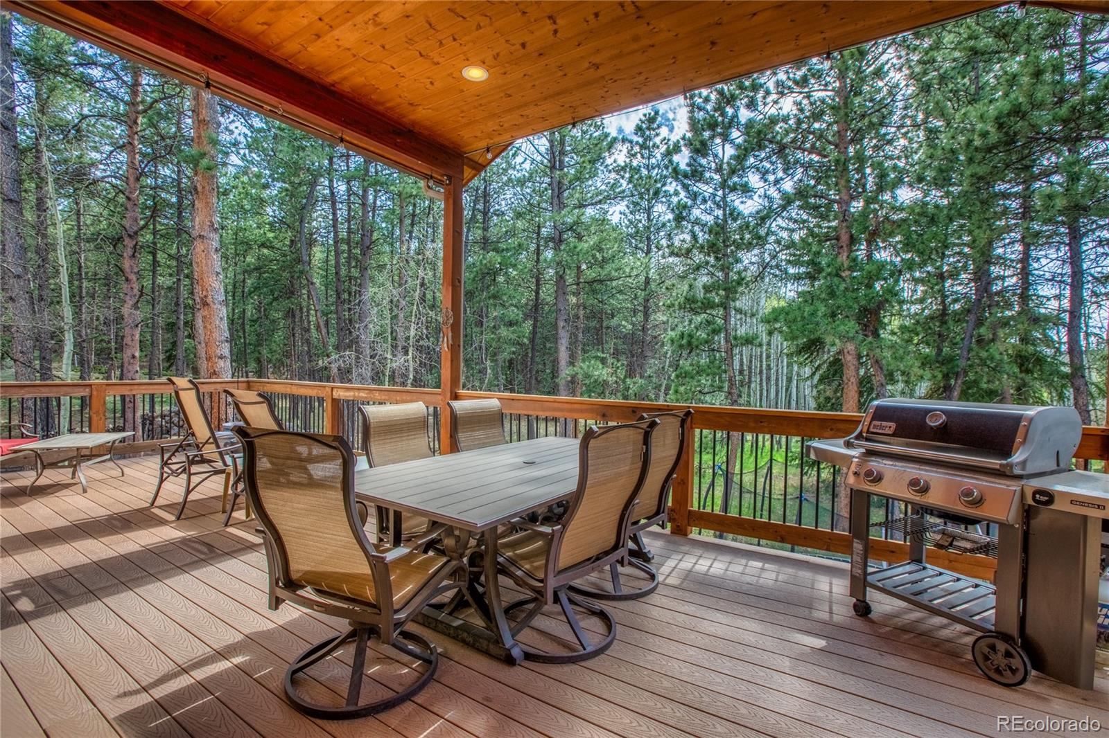 MLS Image #5 for 1230  cottontail trail,woodland park, Colorado
