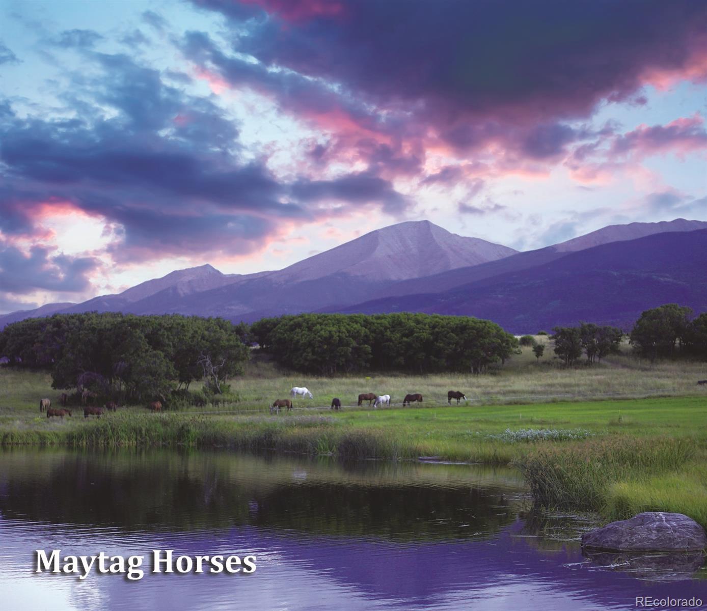 MLS Image #49 for 1768  running bear ,cotopaxi, Colorado