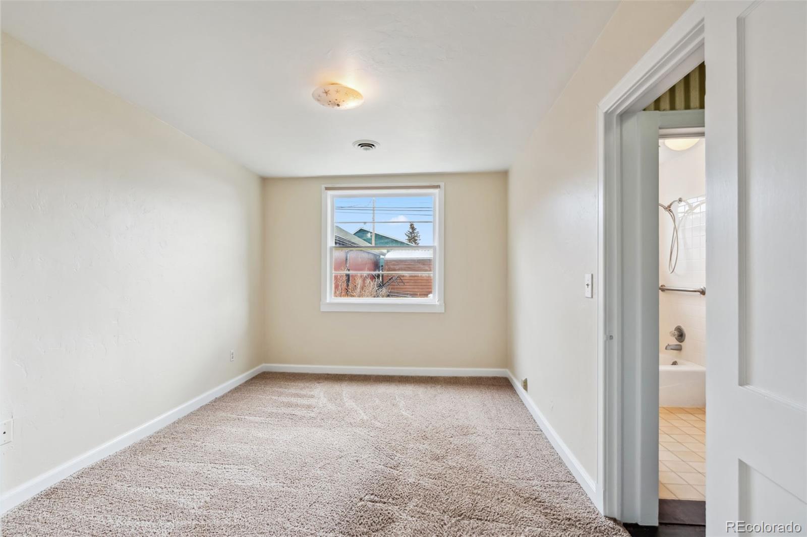 MLS Image #22 for 532  front street,fairplay, Colorado