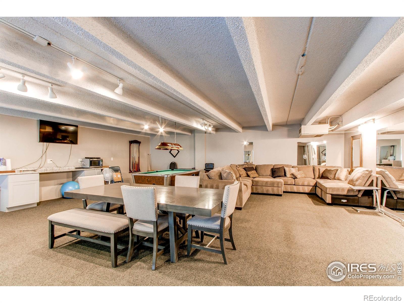 MLS Image #18 for 1265  race street,denver, Colorado