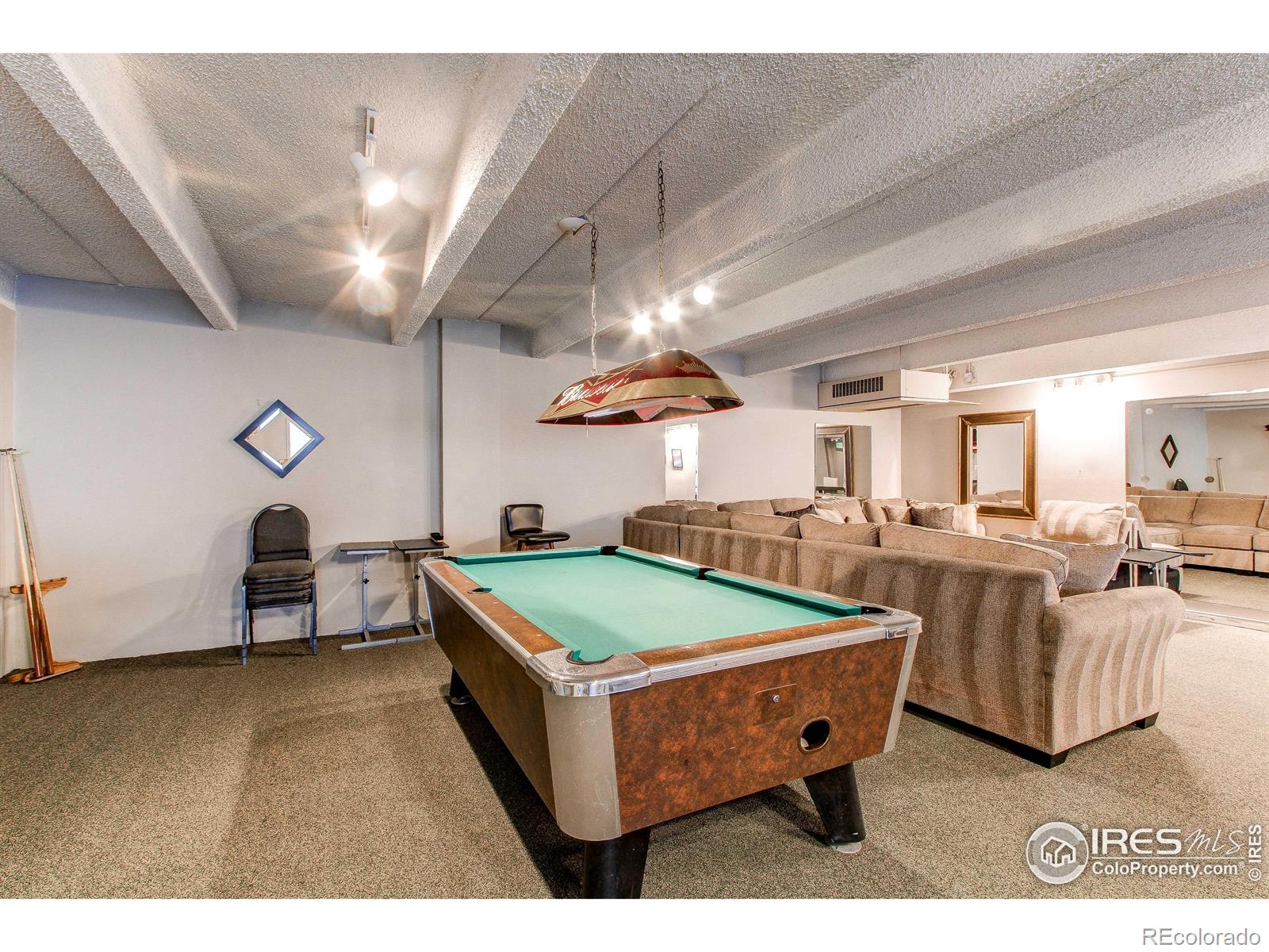 MLS Image #20 for 1265  race street,denver, Colorado