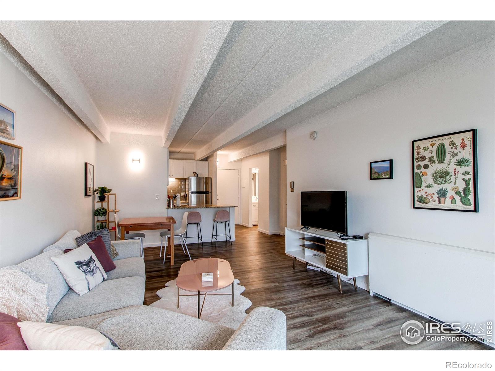 MLS Image #25 for 1265  race street,denver, Colorado