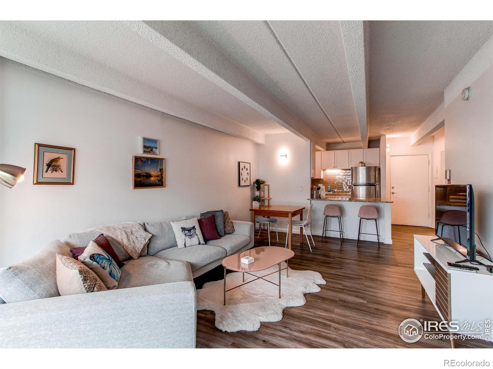 MLS Image #26 for 1265  race street,denver, Colorado