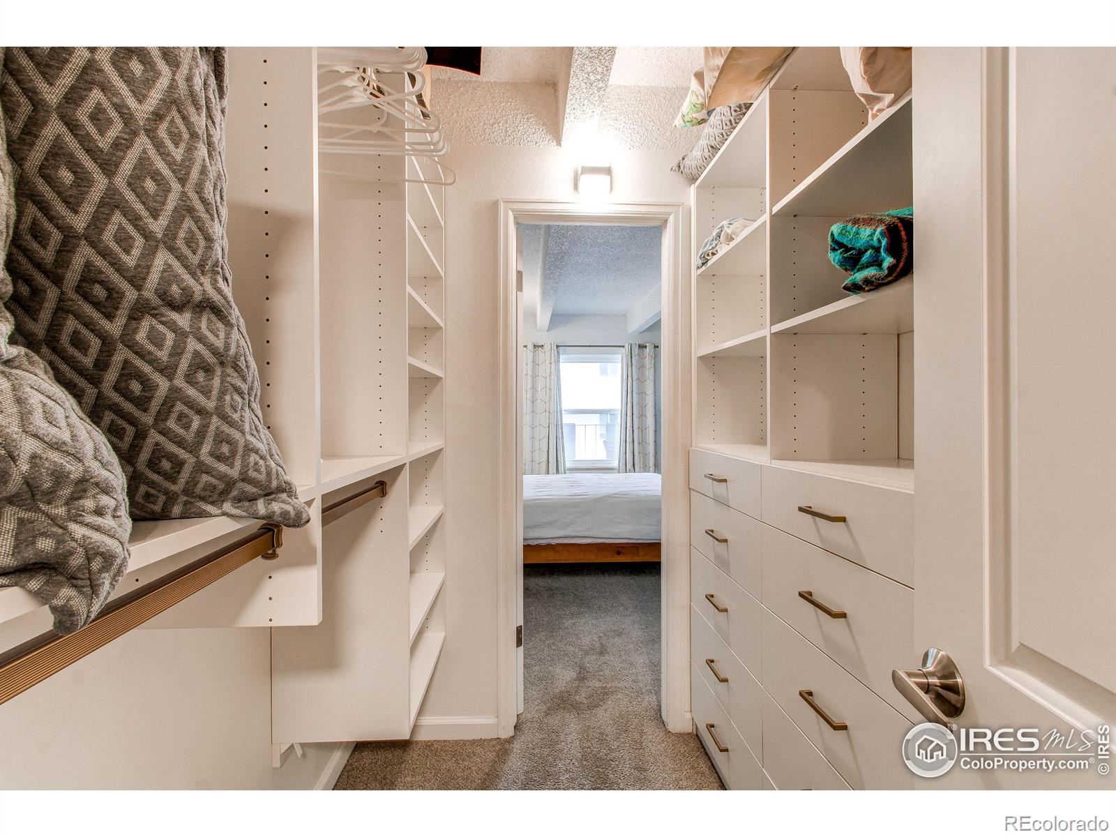 MLS Image #29 for 1265  race street,denver, Colorado