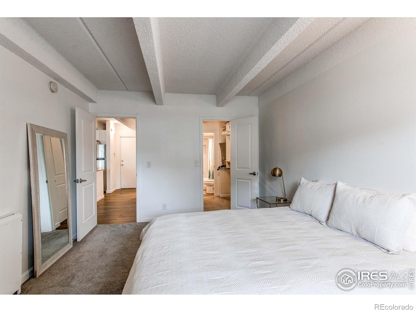 MLS Image #33 for 1265  race street,denver, Colorado