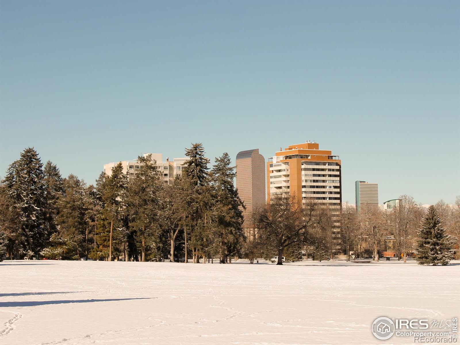 MLS Image #5 for 1265  race street,denver, Colorado