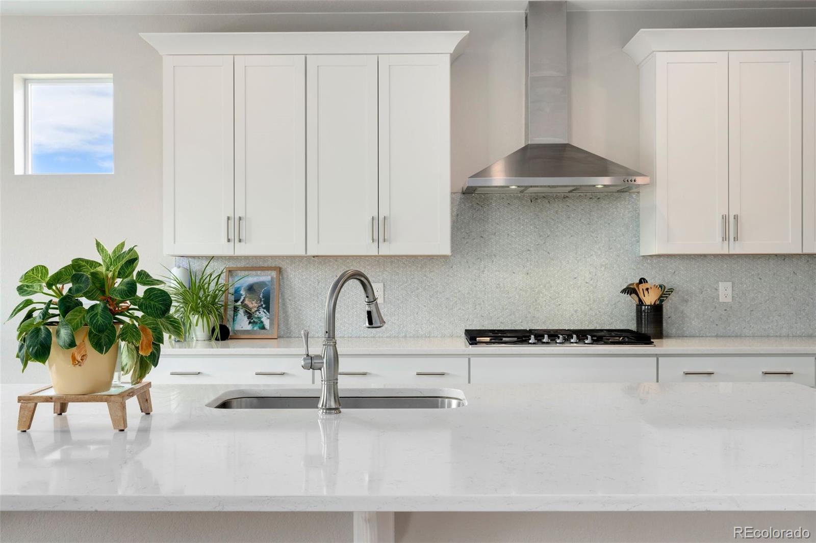MLS Image #3 for 732  lilac court,brighton, Colorado