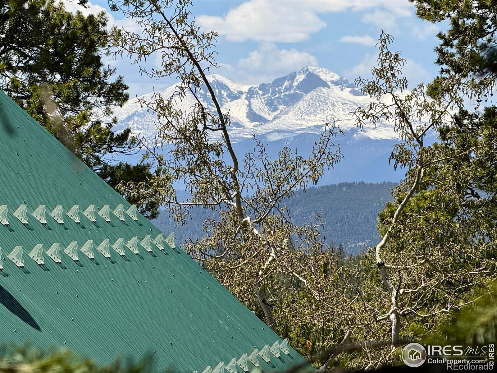 MLS Image #2 for 4911  storm mountain drive,drake, Colorado