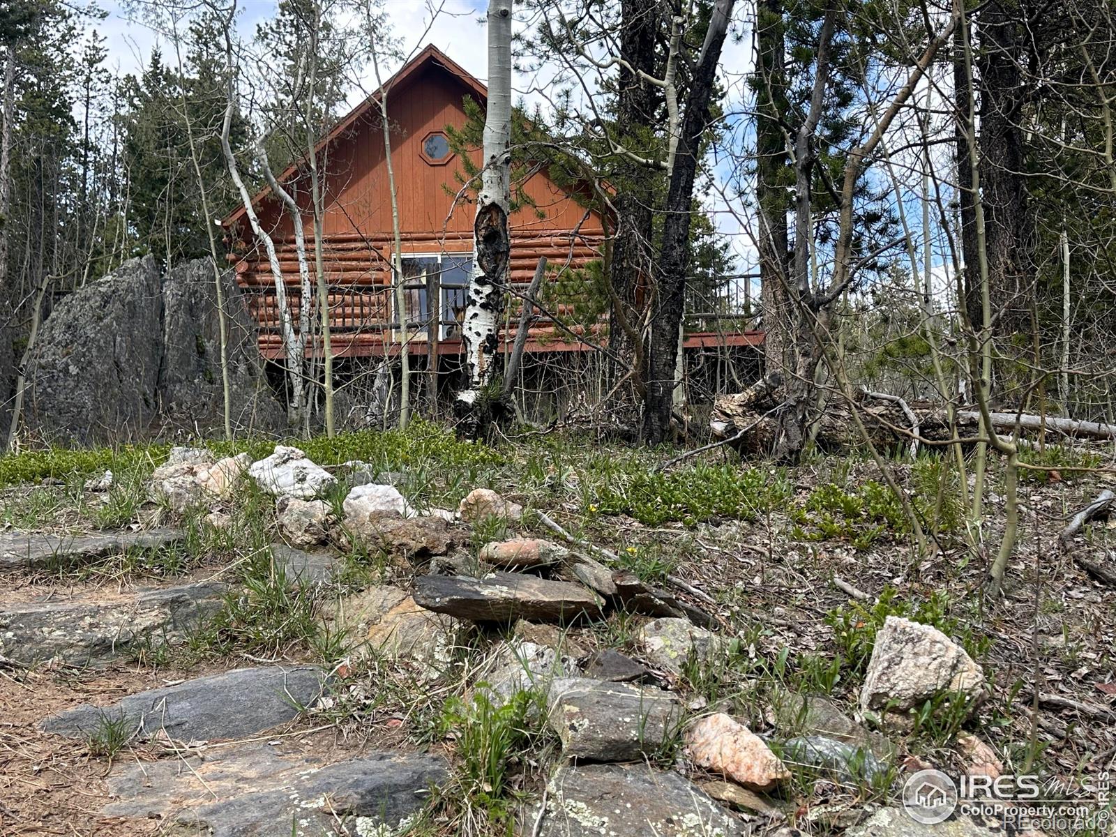 MLS Image #3 for 4911  storm mountain drive,drake, Colorado