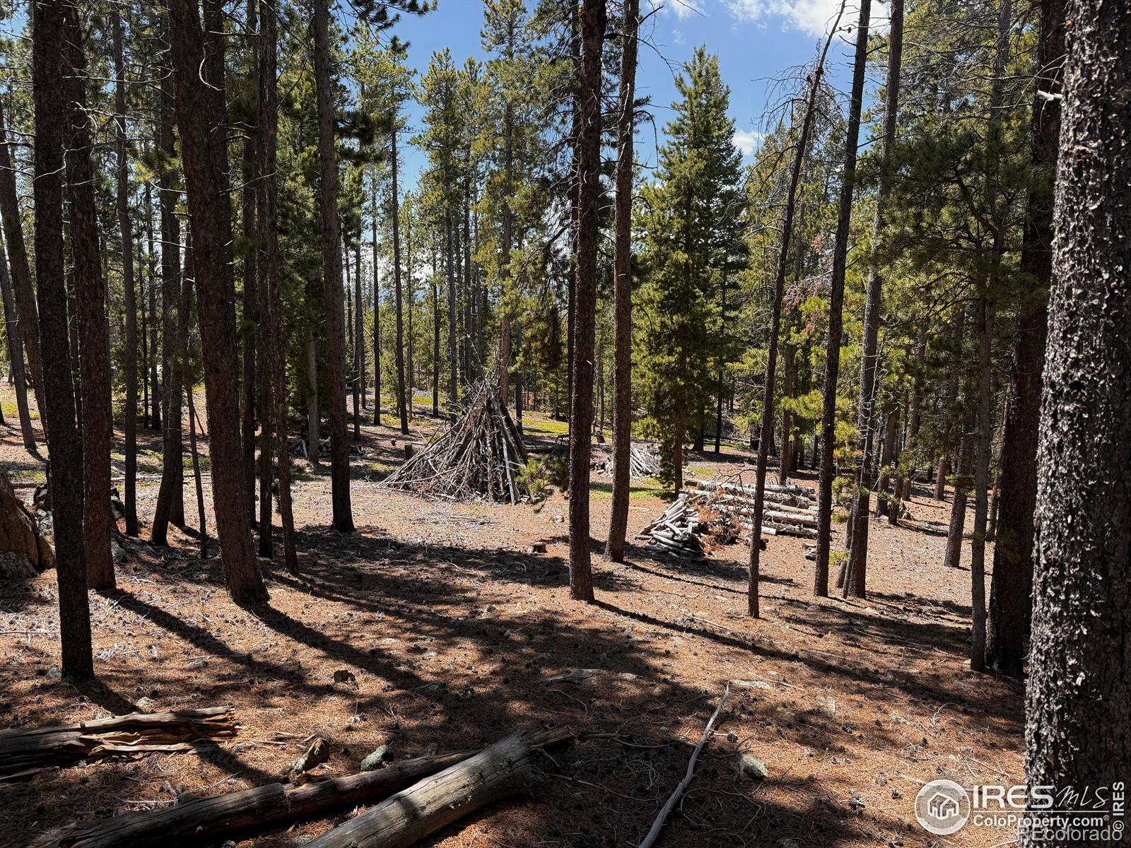 MLS Image #31 for 4911  storm mountain drive,drake, Colorado