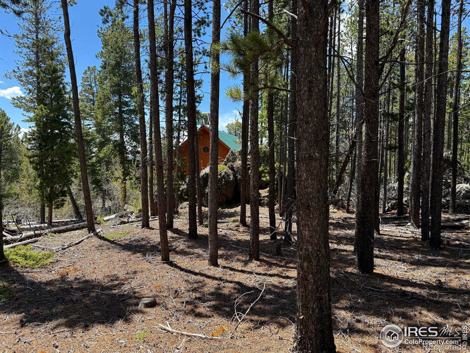 MLS Image #32 for 4911  storm mountain drive,drake, Colorado