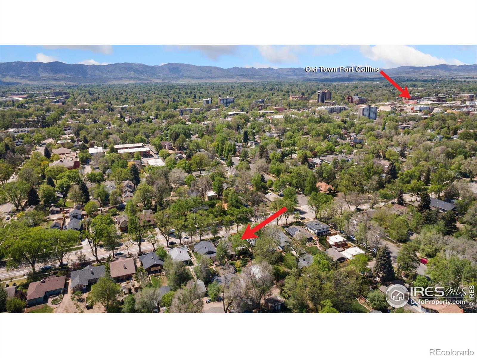 MLS Image #34 for 618  whedbee street,fort collins, Colorado