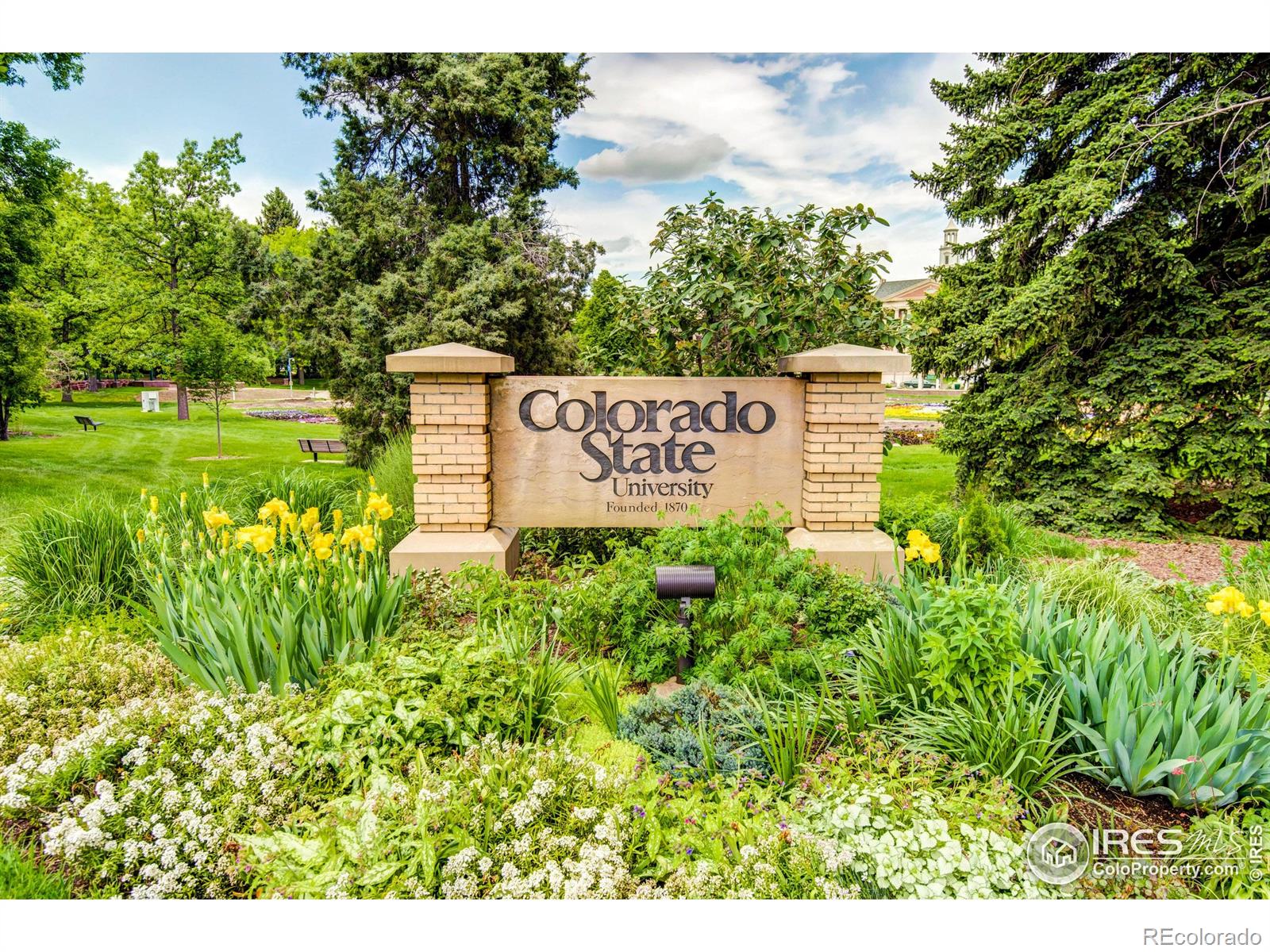 MLS Image #37 for 618  whedbee street,fort collins, Colorado