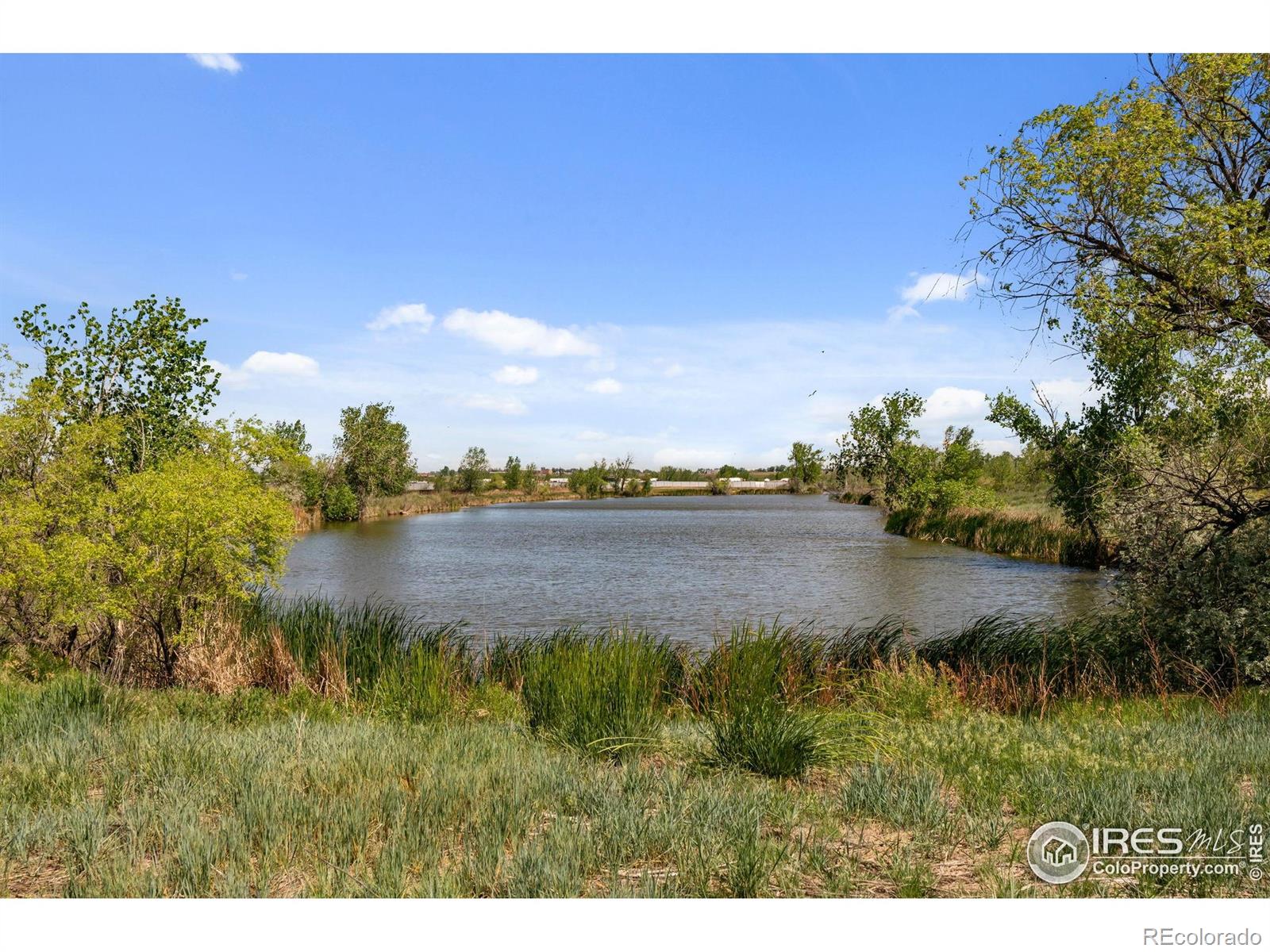 MLS Image #24 for 10667  durango place,longmont, Colorado