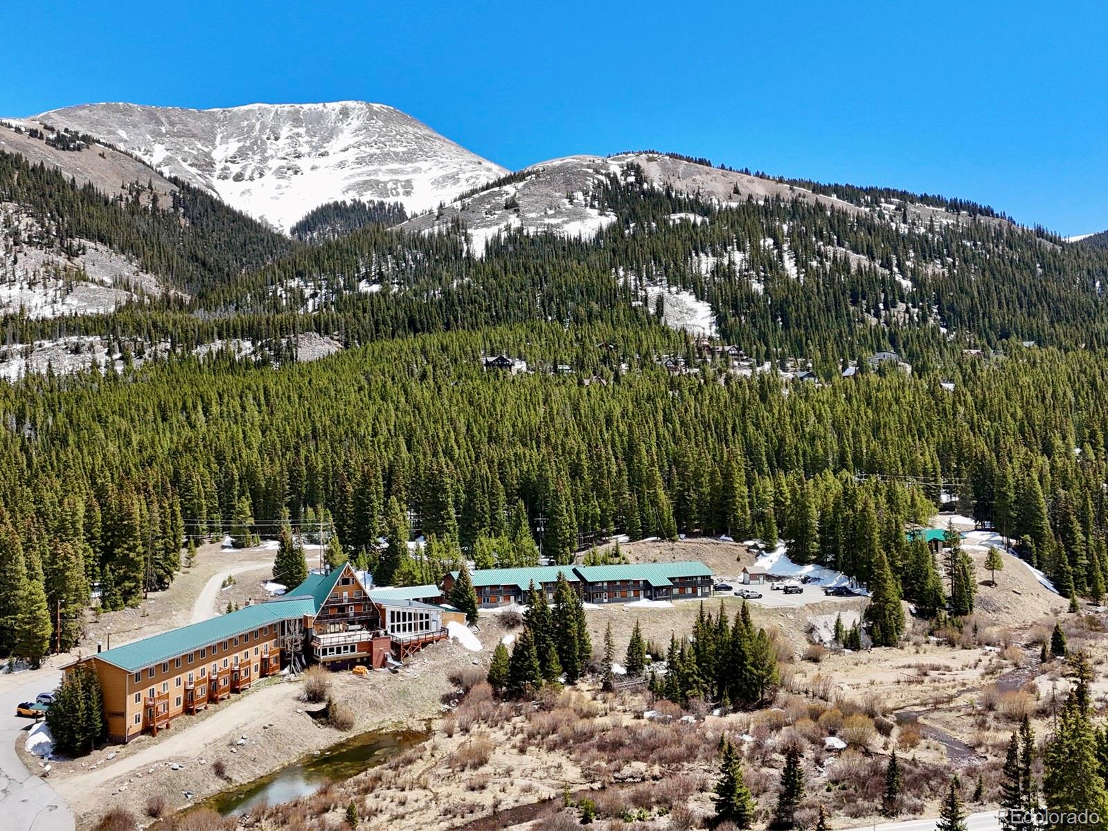 MLS Image #1 for 4192  highway 9 ,breckenridge, Colorado
