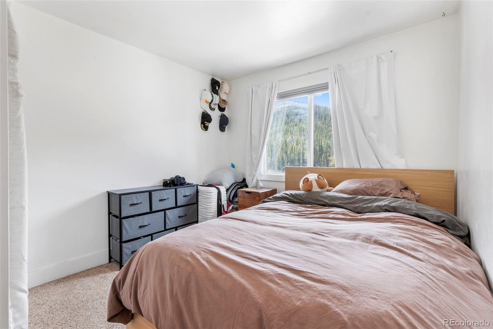 MLS Image #15 for 4192  highway 9 ,breckenridge, Colorado