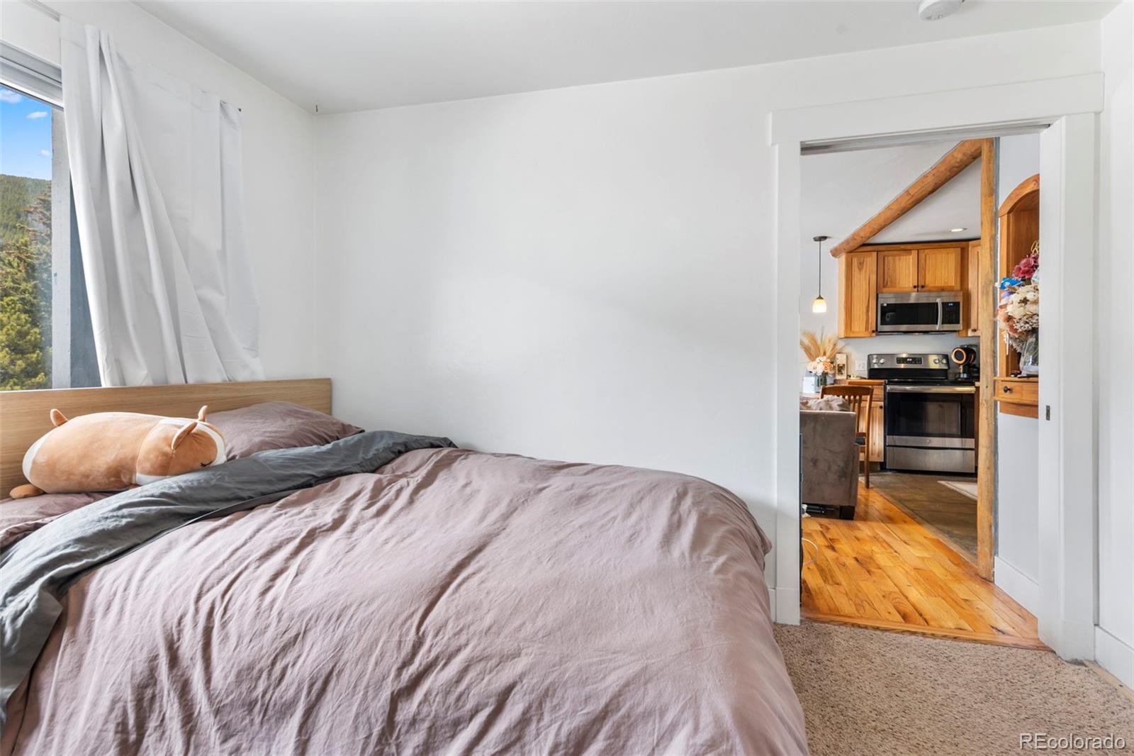 MLS Image #16 for 4192  highway 9 ,breckenridge, Colorado
