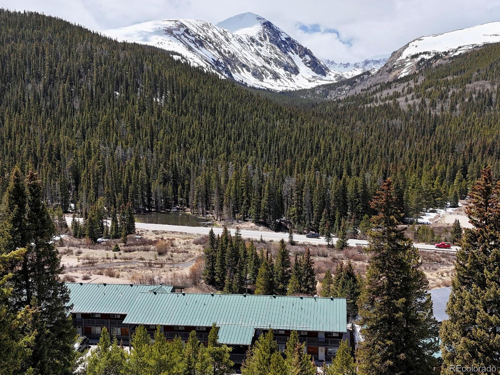 MLS Image #2 for 4192  highway 9 ,breckenridge, Colorado