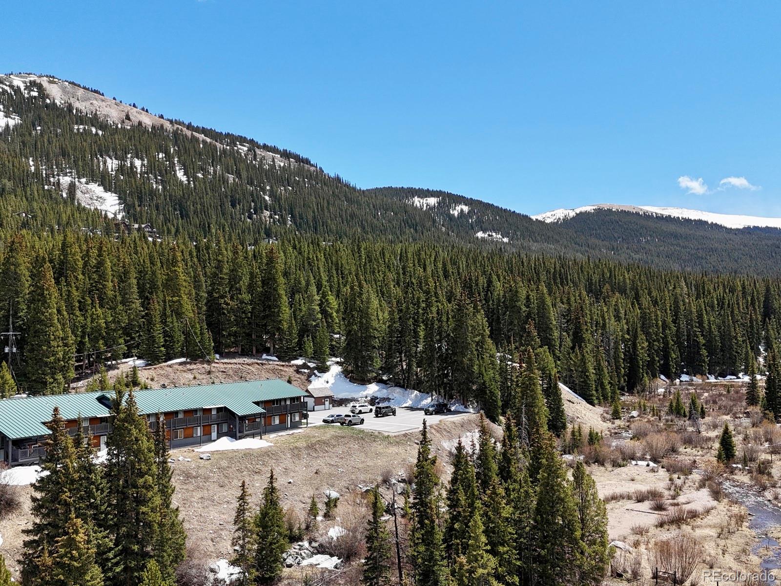 MLS Image #25 for 4192  highway 9 ,breckenridge, Colorado