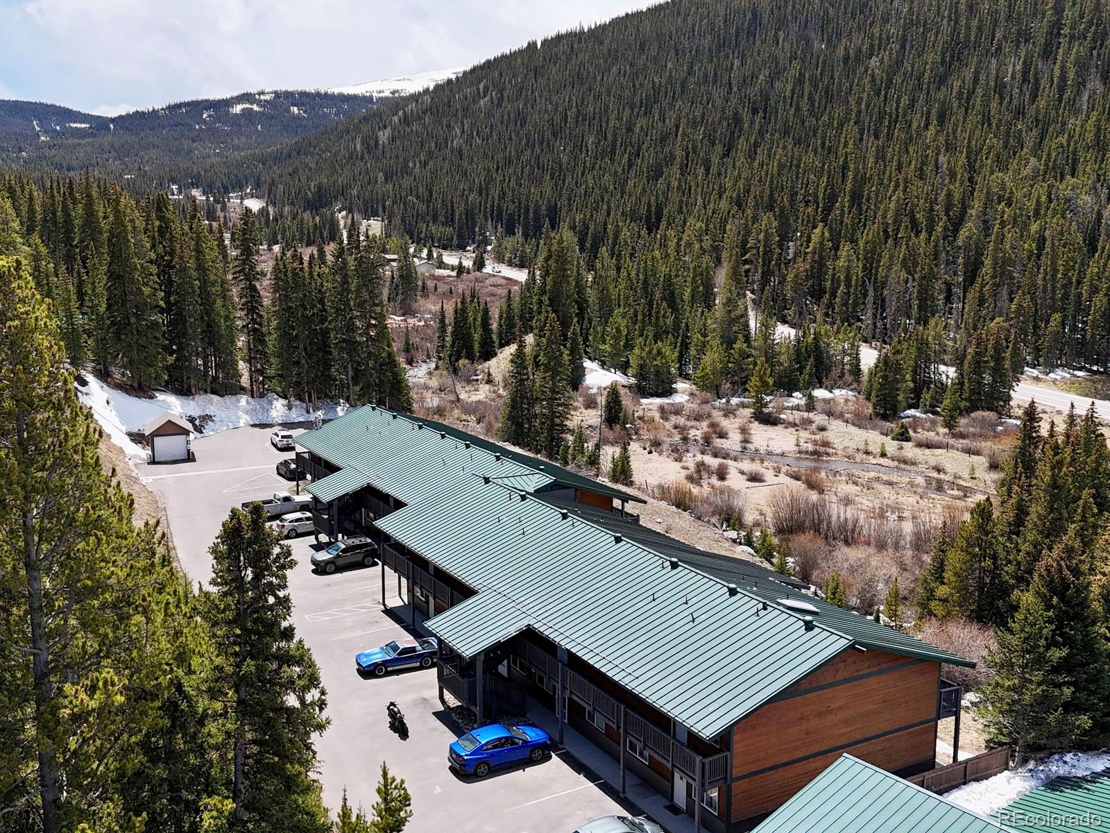 MLS Image #27 for 4192  highway 9 ,breckenridge, Colorado