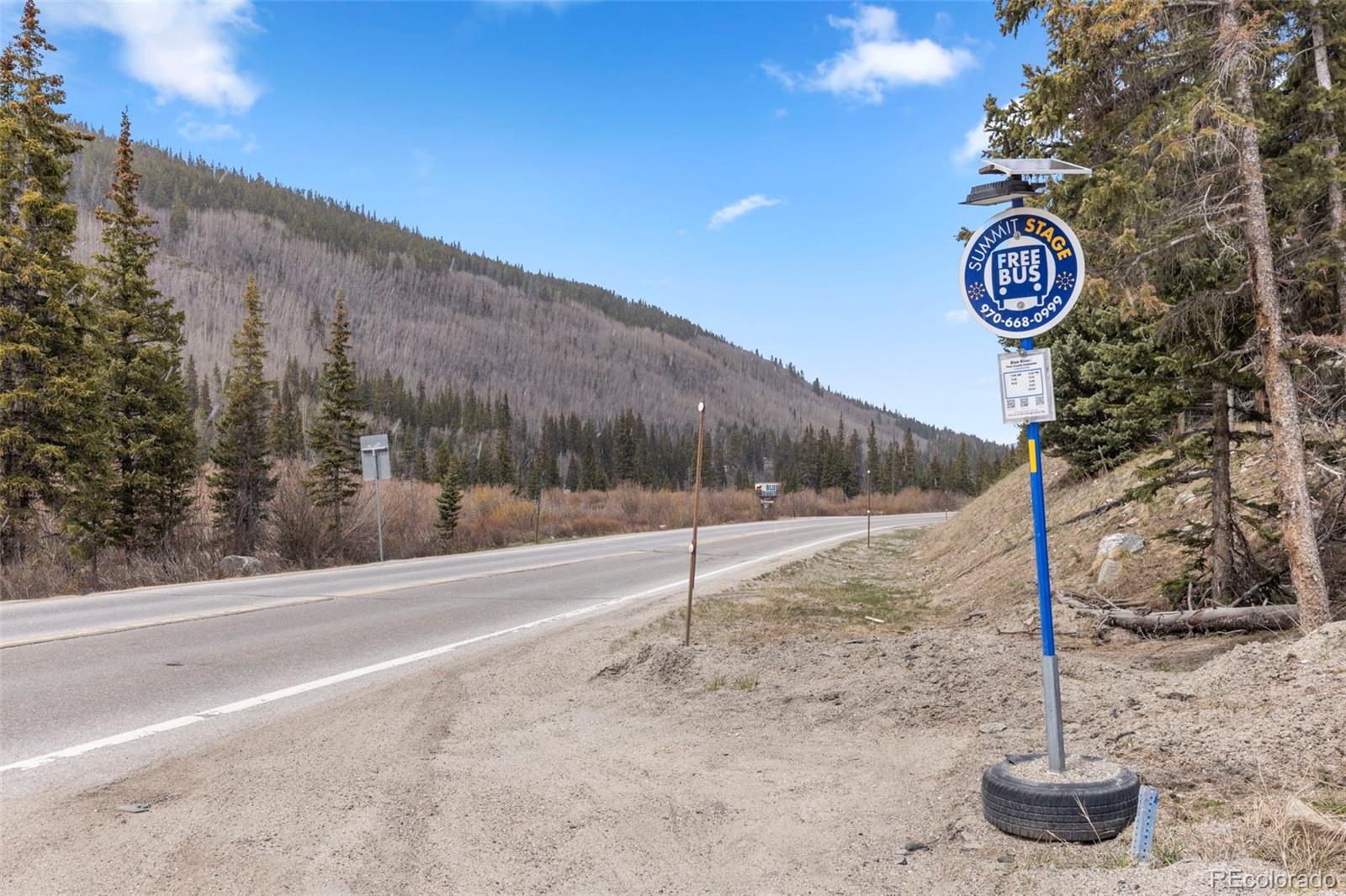 MLS Image #30 for 4192  highway 9 ,breckenridge, Colorado
