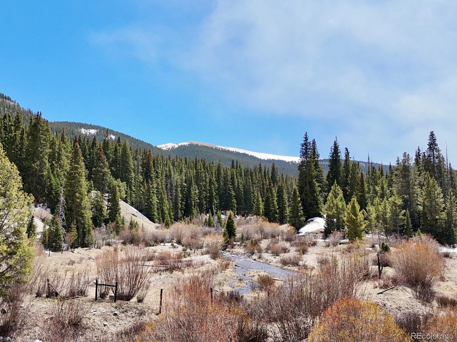 MLS Image #33 for 4192  highway 9 ,breckenridge, Colorado