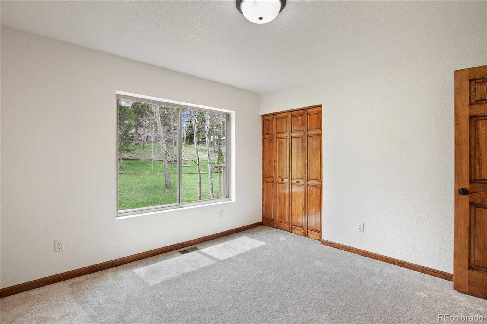 MLS Image #22 for 1955  valley view drive,woodland park, Colorado