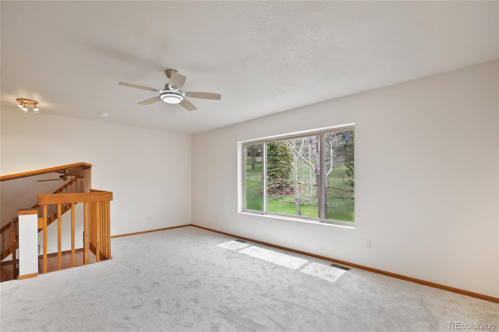 MLS Image #24 for 1955  valley view drive,woodland park, Colorado