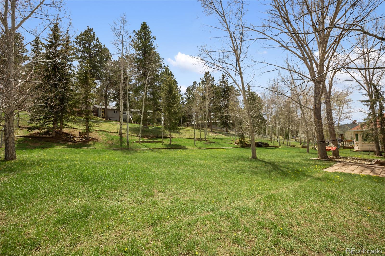 MLS Image #5 for 1955  valley view drive,woodland park, Colorado