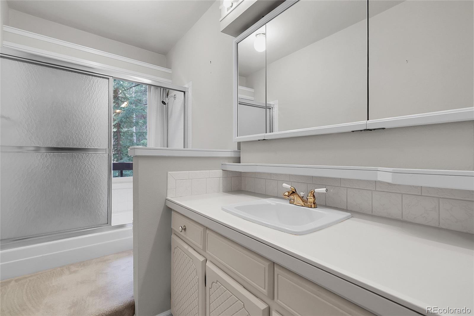 MLS Image #17 for 150  soda creek road,evergreen, Colorado
