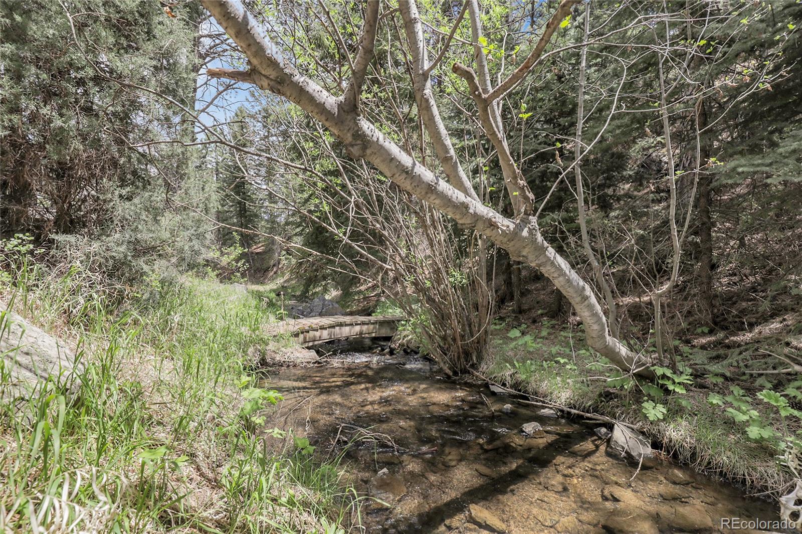 MLS Image #36 for 150  soda creek road,evergreen, Colorado