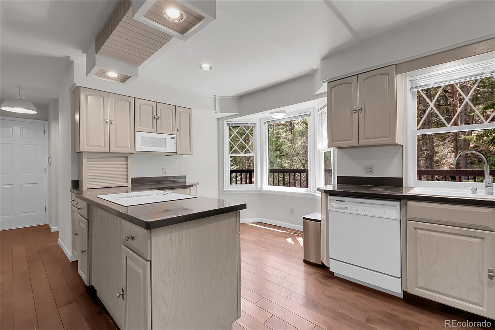 MLS Image #4 for 150  soda creek road,evergreen, Colorado