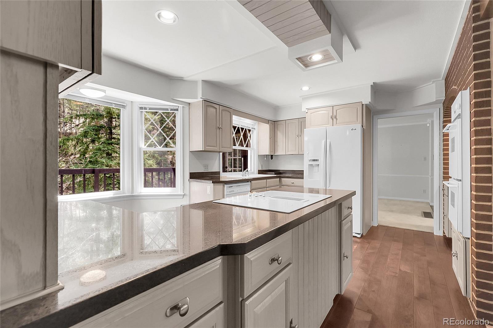 MLS Image #6 for 150  soda creek road,evergreen, Colorado