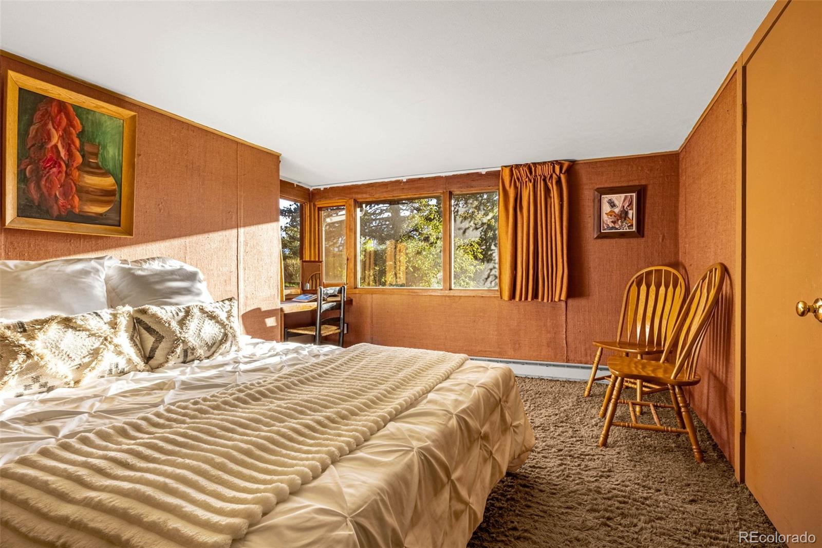 MLS Image #29 for 1455  la mesa street,colorado springs, Colorado
