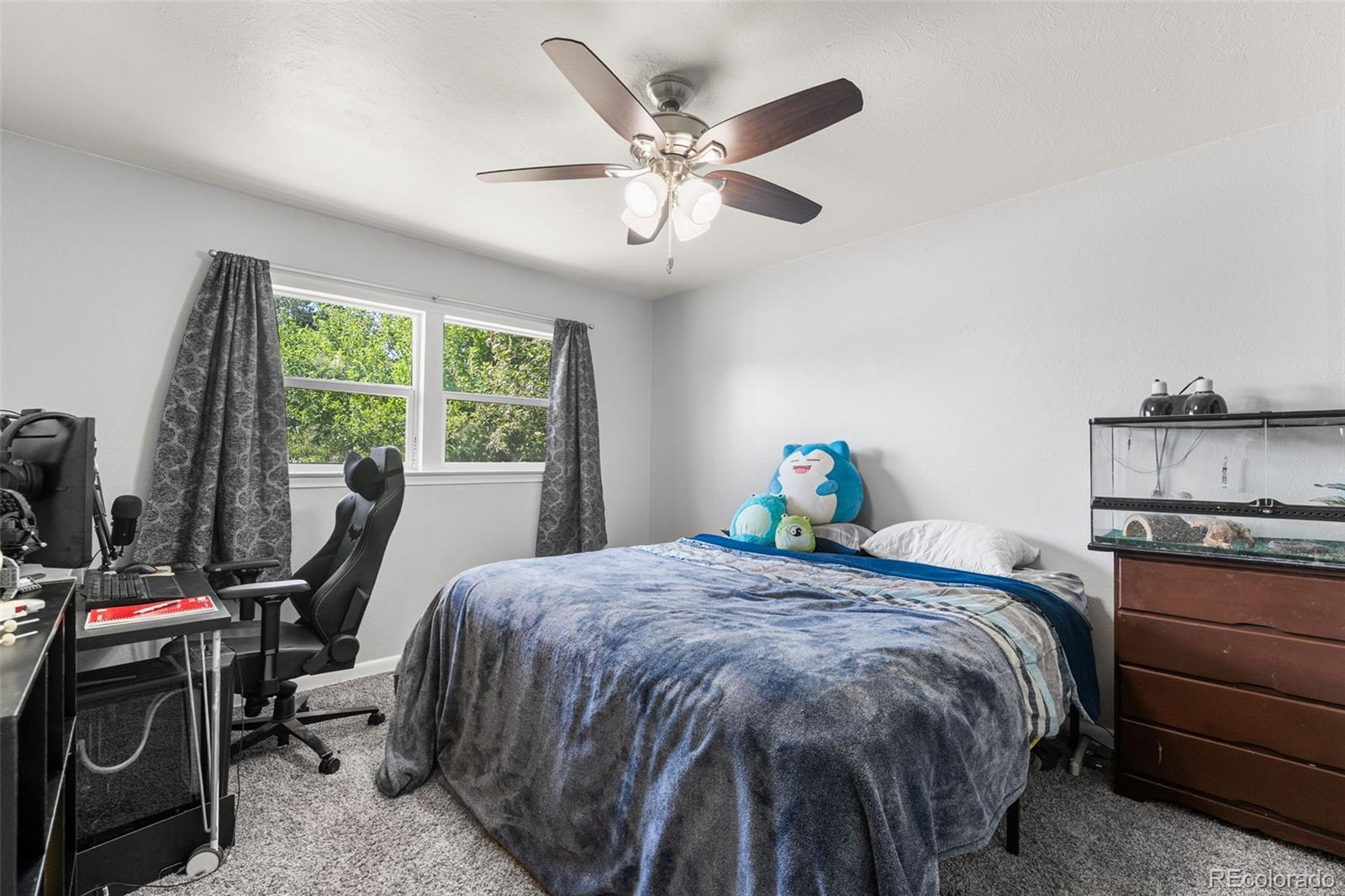 MLS Image #12 for 2744  ron court,colorado springs, Colorado
