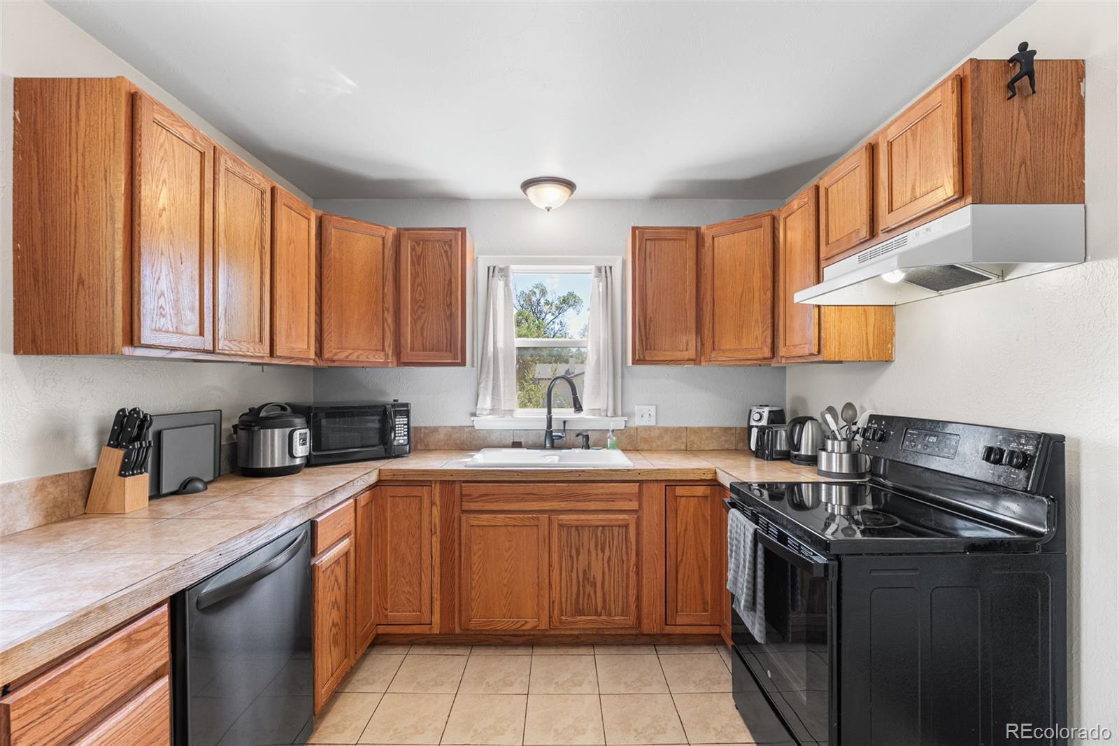MLS Image #4 for 2744  ron court,colorado springs, Colorado