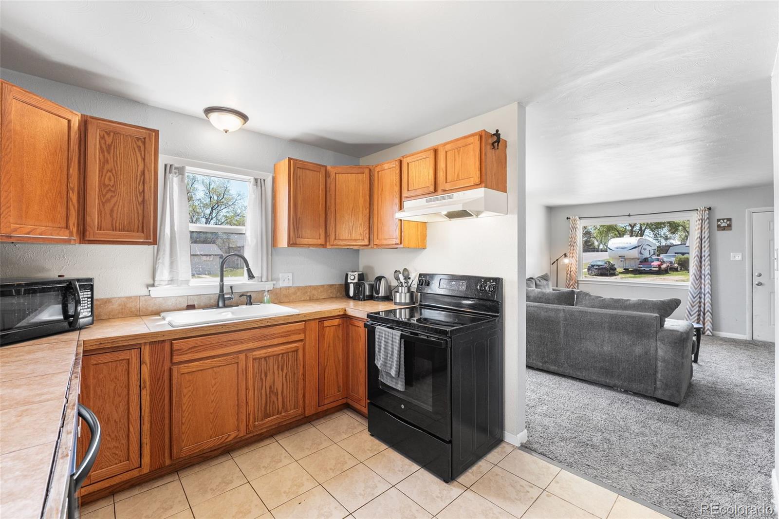 MLS Image #5 for 2744  ron court,colorado springs, Colorado