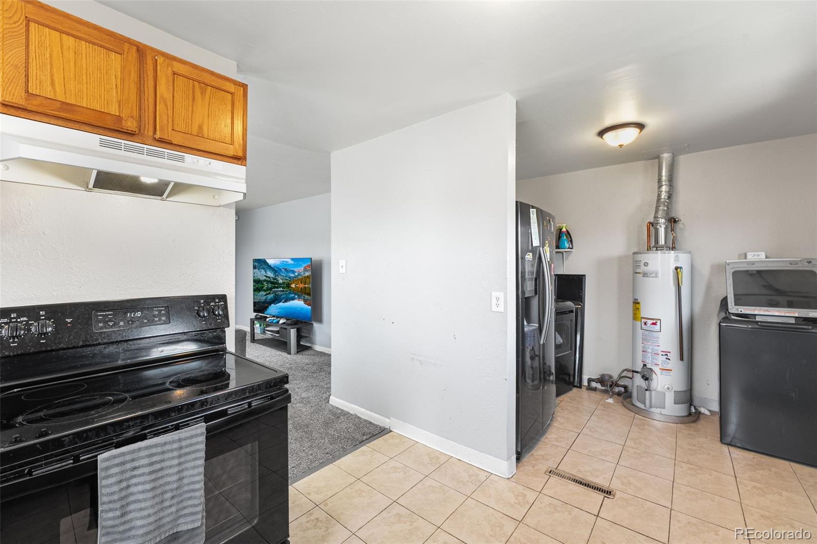 MLS Image #6 for 2744  ron court,colorado springs, Colorado