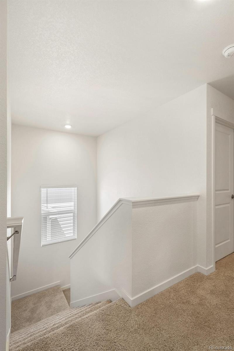 MLS Image #19 for 842 n deer park street,watkins, Colorado