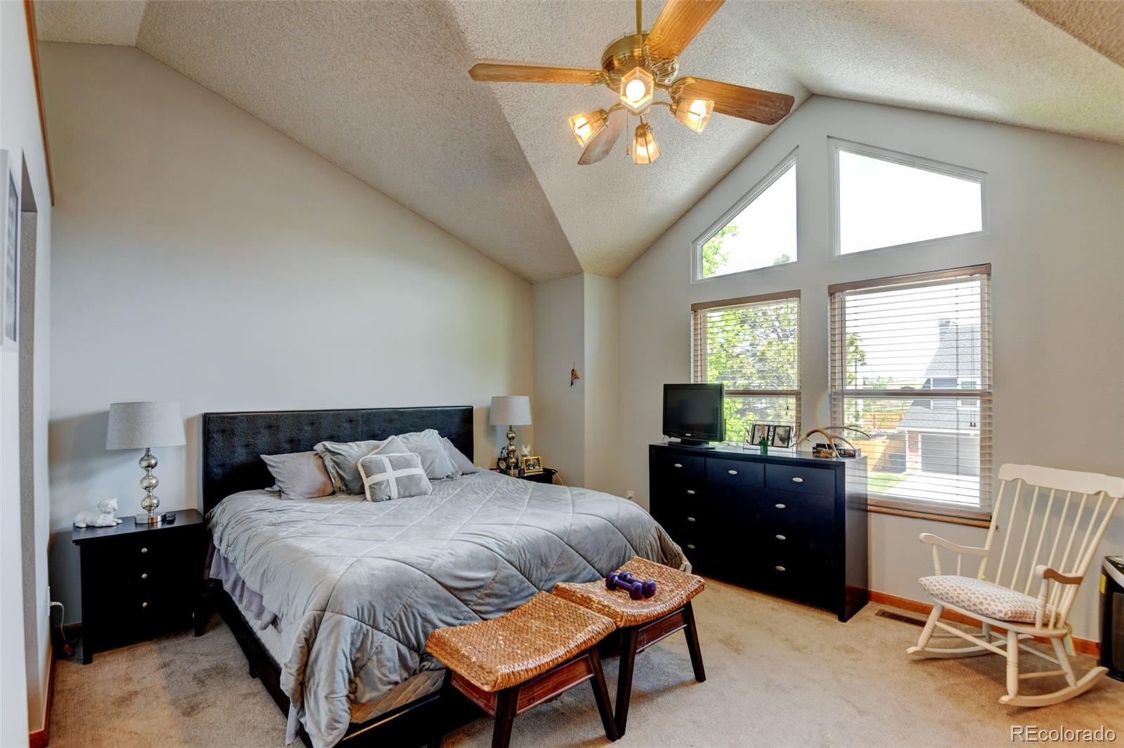 MLS Image #19 for 8555  angela lane,parker, Colorado