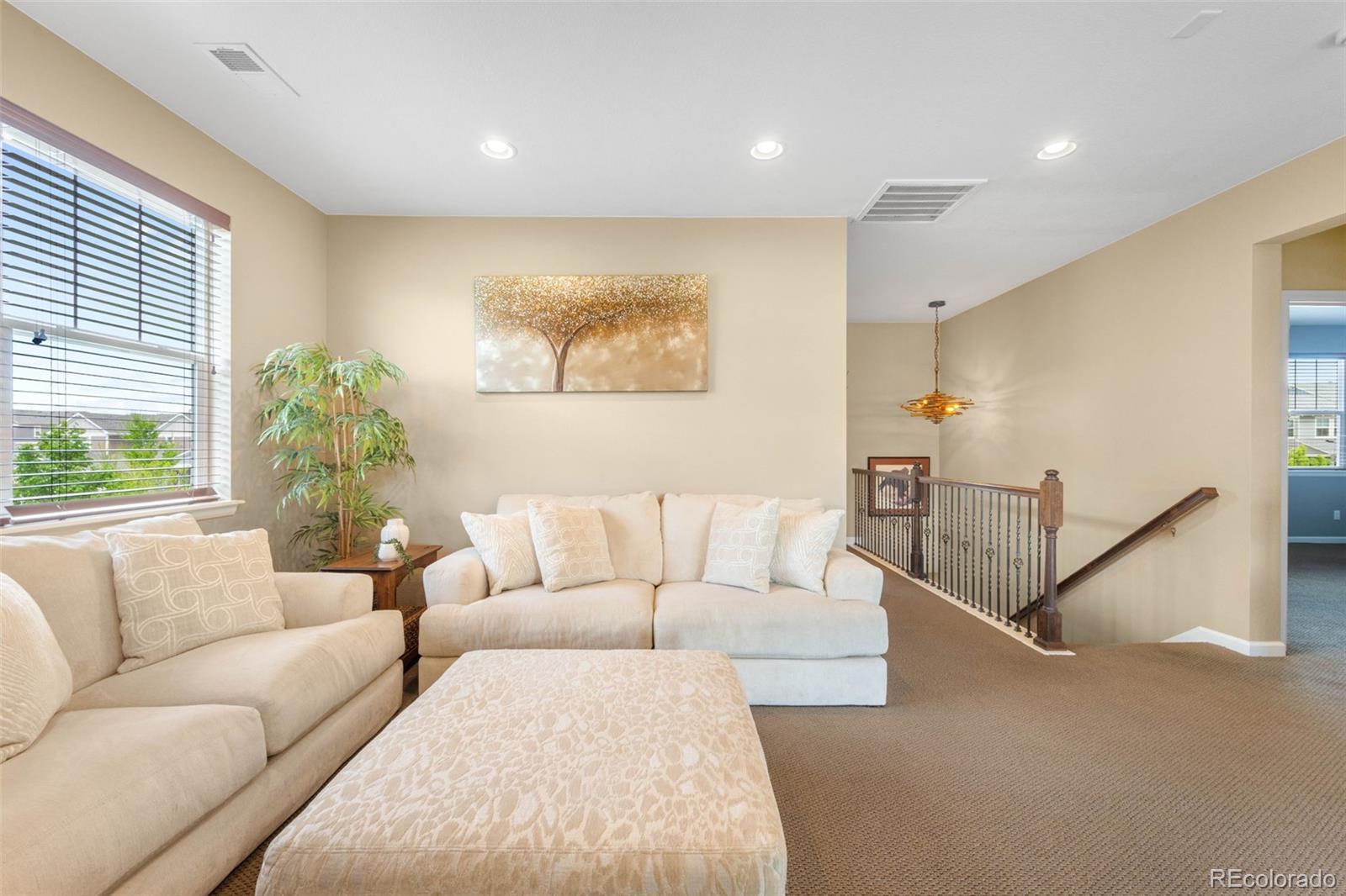 MLS Image #27 for 10057  des moines street,parker, Colorado