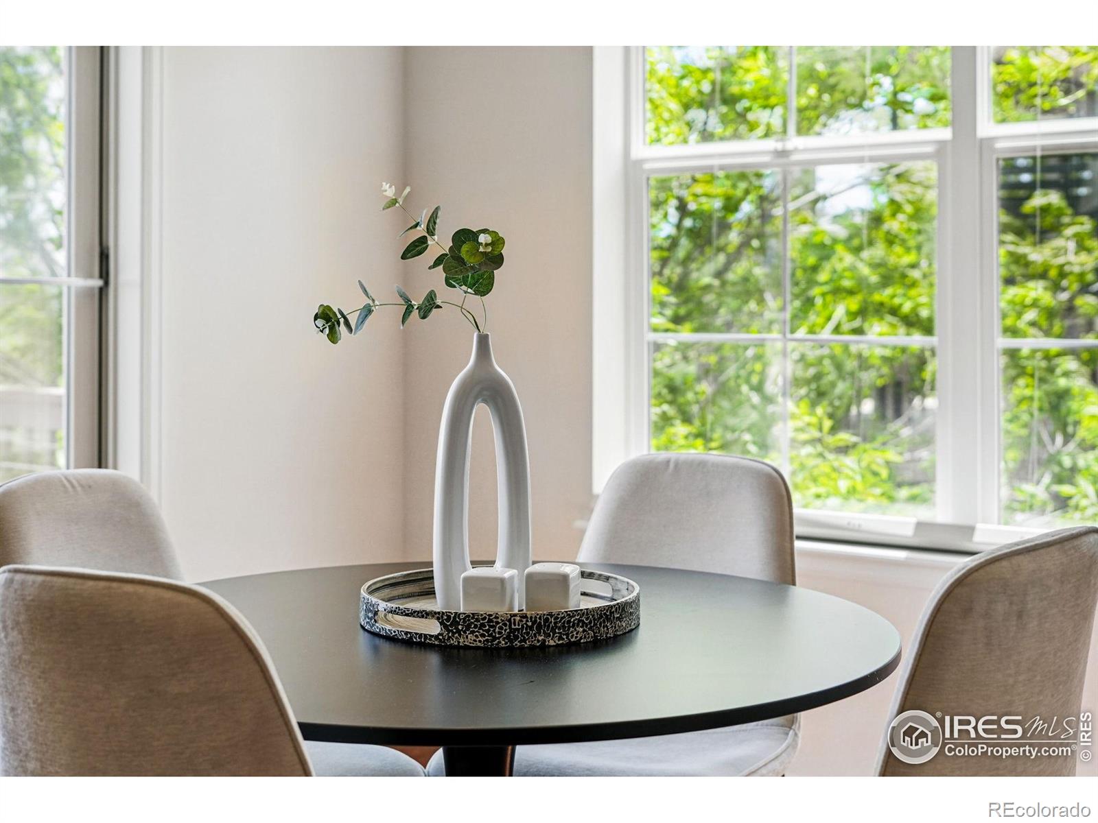 MLS Image #10 for 4648  belford circle,broomfield, Colorado