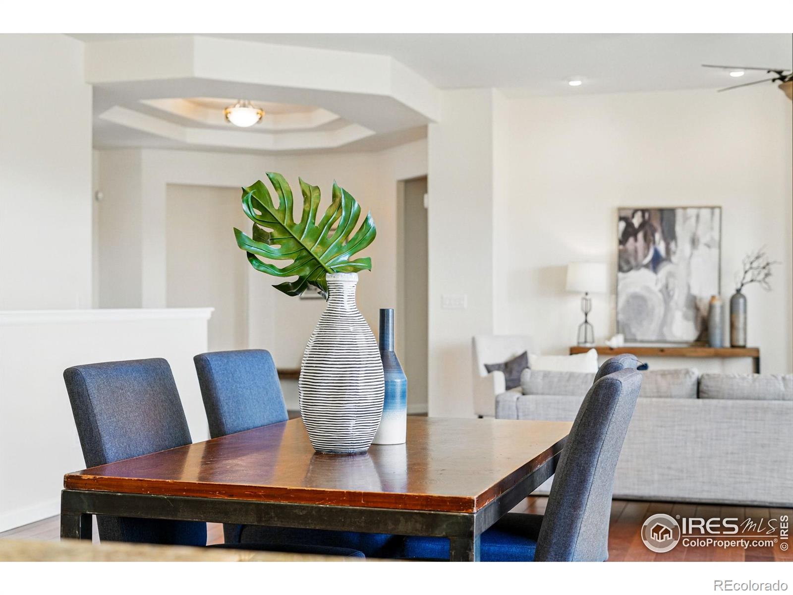 MLS Image #8 for 4648  belford circle,broomfield, Colorado