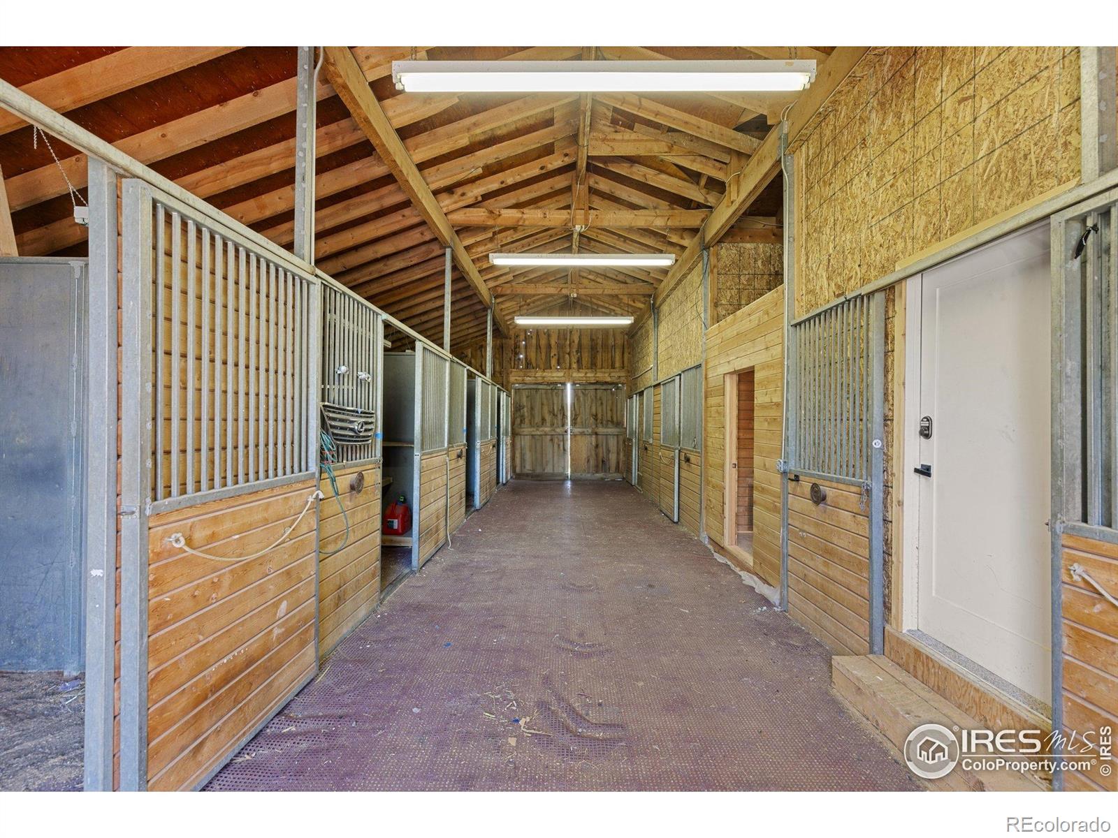 MLS Image #36 for 5557  aspen avenue,erie, Colorado