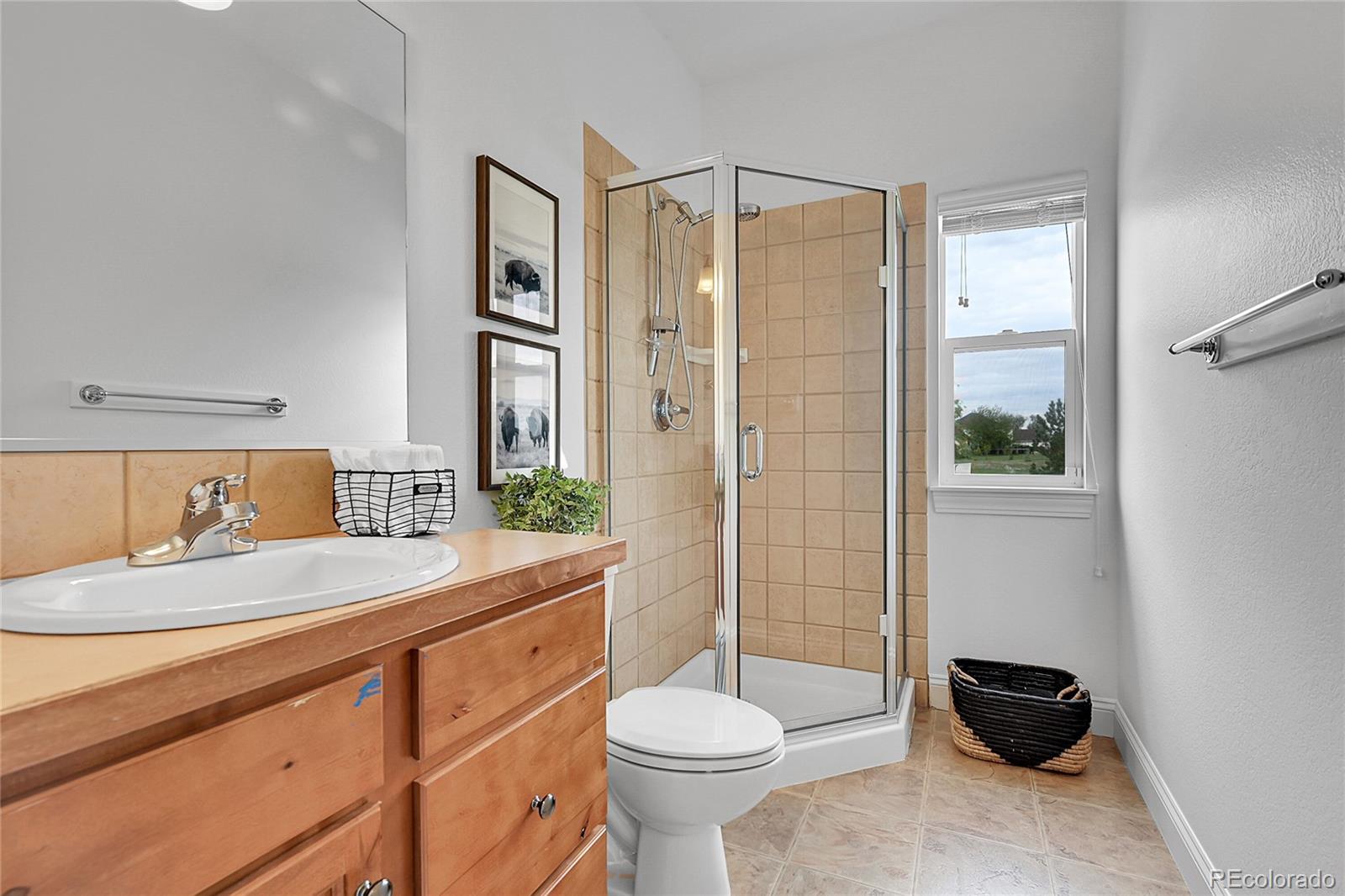 MLS Image #13 for 37028  soaring eagle circle,severance, Colorado