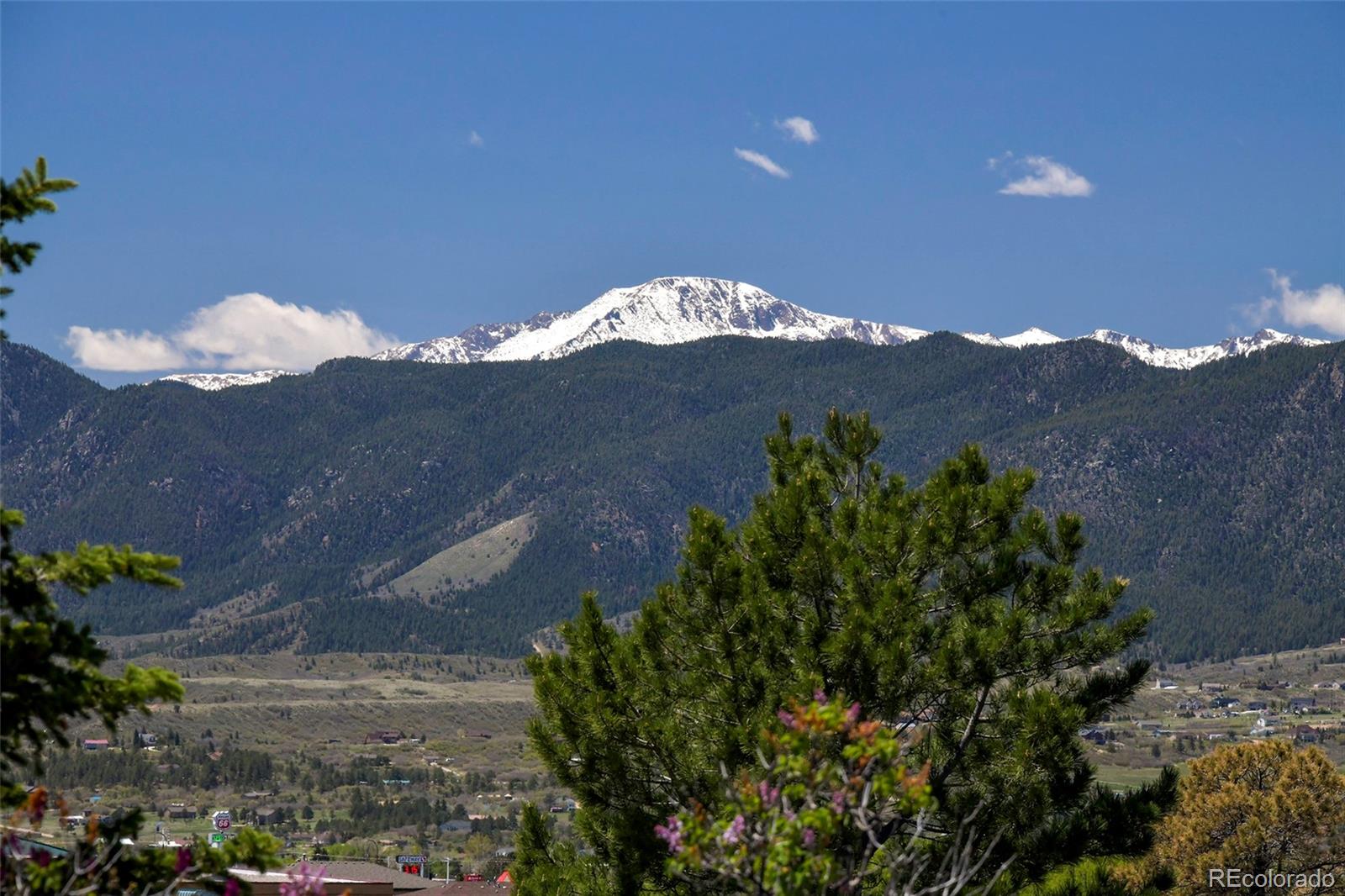 MLS Image #10 for 1673  woodmoor drive,monument, Colorado