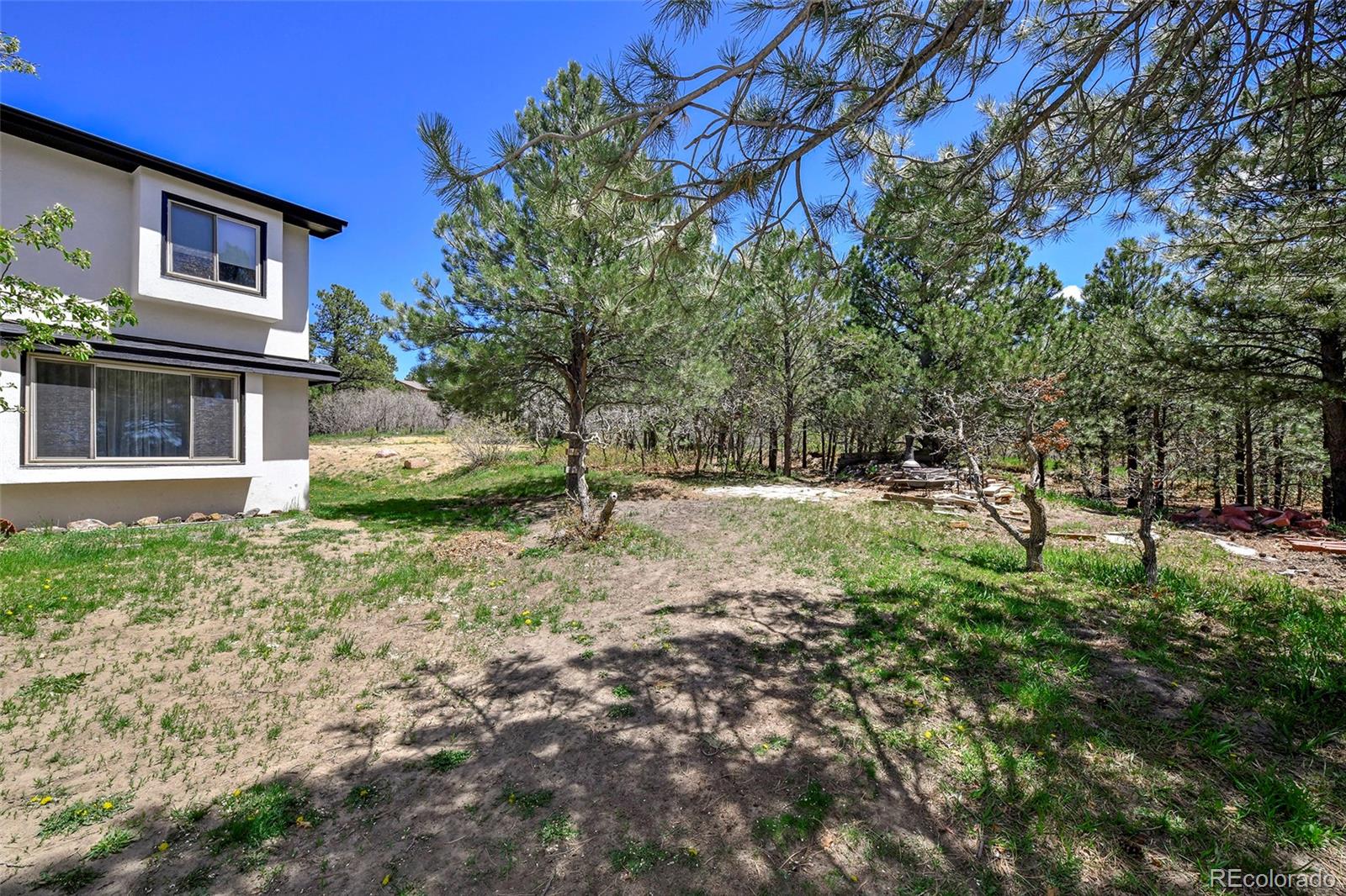 MLS Image #3 for 1673  woodmoor drive,monument, Colorado